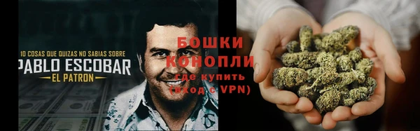 apvp Богородицк