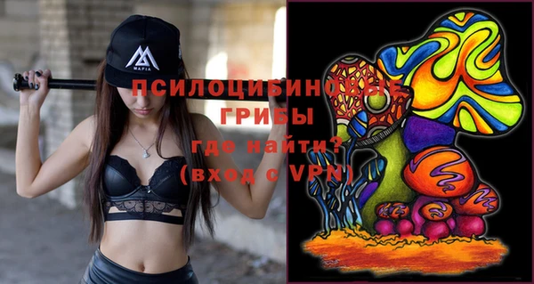 амф Бородино