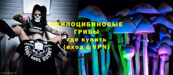 apvp Богородицк
