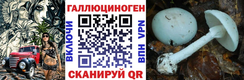 цена   Мончегорск  Галлюциногенные грибы прущие грибы 