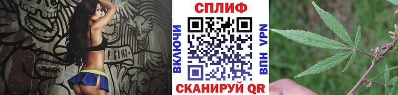 Бошки марихуана сатива  Мончегорск 